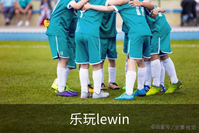 乐玩lewin公司介绍图片